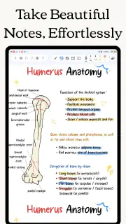 Freenotes: KI Notizen & PDF screenshot 7