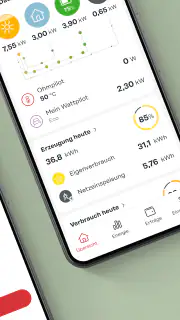 Fronius Solar.web screenshot 3