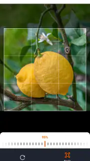 Gartenplaner fürs Gemüsebeet screenshot 6