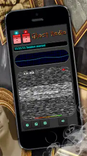 Ghost Radio EVP/EMF-Simulator screenshot 5