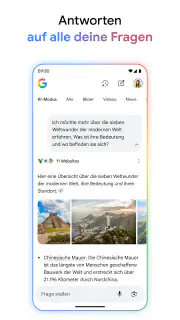 Google screenshot 2