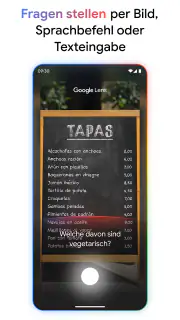 Google screenshot 3