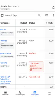 Google Ads screenshot 3