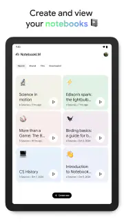 Google NotebookLM screenshot 8