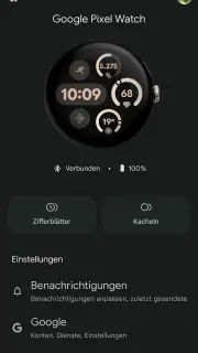 Google Pixel Watch screenshot 2