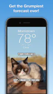 Grumpy Cat Weather screenshot 1