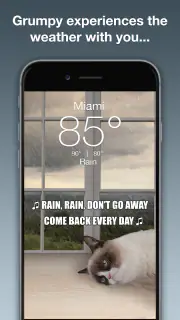 Grumpy Cat Weather screenshot 2