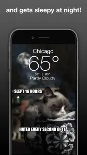 Grumpy Cat Weather screenshot 3
