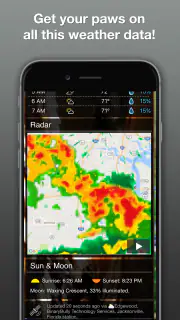 Grumpy Cat Weather screenshot 4