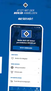 Hamburger SV screenshot 5