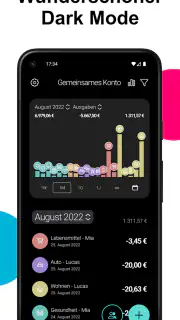 Haushaltsbuch Ausgaben Monee screenshot 8