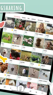 Hundelieb - Dogsharing screenshot 8