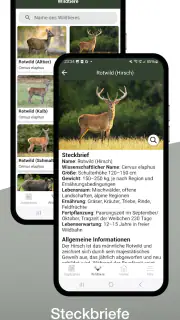 Hunting Plus - Jagdzeiten App screenshot 3