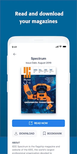 IEEE screenshot