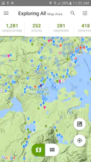 iNaturalist screenshot 5