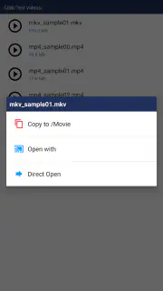 JS USB OTG screenshot 2