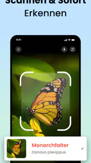 Käfer & Insekten Bestimmen screenshot 2