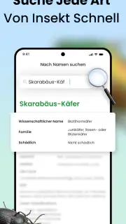 Käfer & Insekten Bestimmen screenshot 4