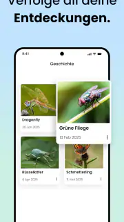 Käfer & Insekten Bestimmen screenshot 5
