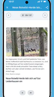 Kölnische Rundschau E-Paper screenshot 4