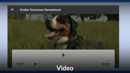 Kosmos-Plus screenshot 8