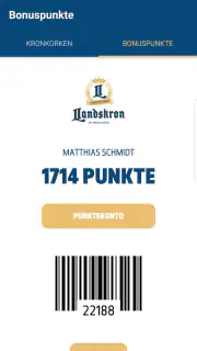Landskron screenshot 6
