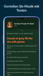 Lark Player:Musik-Player screenshot 4