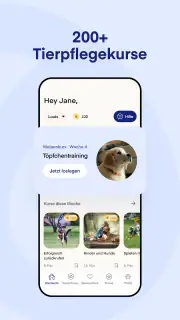 Lassie screenshot 2