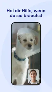 Lassie screenshot 7