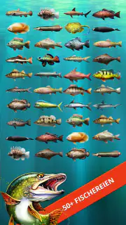 Let's Fish: Angeln Simulator screenshot 3