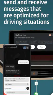 livil FLAGS screenshot 4