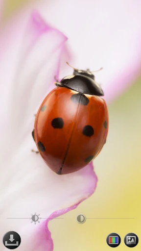 Lupe & Mikroskop screenshot