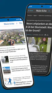 Main-Echo screenshot 2