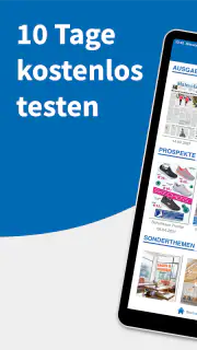 Main-Echo E-PAPER screenshot 8