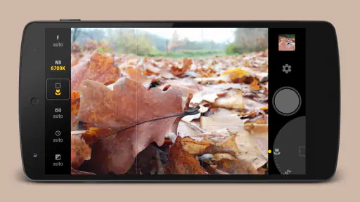 Manual Camera screenshot 3