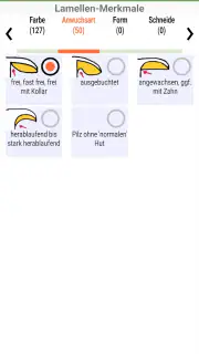 Meine Pilze (Pilzbestimmung) screenshot 4