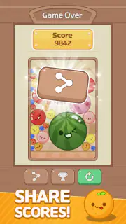 Melon Maker : Fruit Game screenshot 5