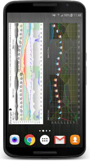 Meteogram Pro Weather Widget screenshot 3