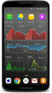 Meteogram Pro Weather Widget screenshot 4