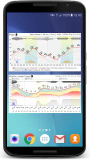Meteogram Pro Weather Widget screenshot 6