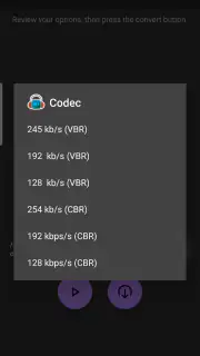MP3 Video Converter screenshot 3