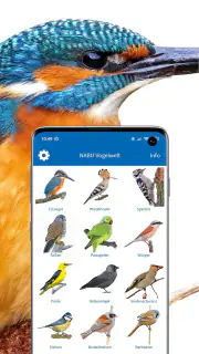 NABU Vogelwelt Vögel Bestimmen screenshot 2