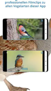 NABU Vogelwelt Vögel Bestimmen screenshot 4
