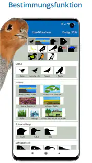 NABU Vogelwelt Vögel Bestimmen screenshot 5