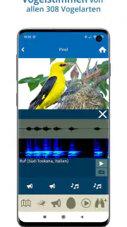 NABU Vogelwelt Vögel Bestimmen screenshot 6
