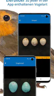 NABU Vogelwelt Vögel Bestimmen screenshot 8