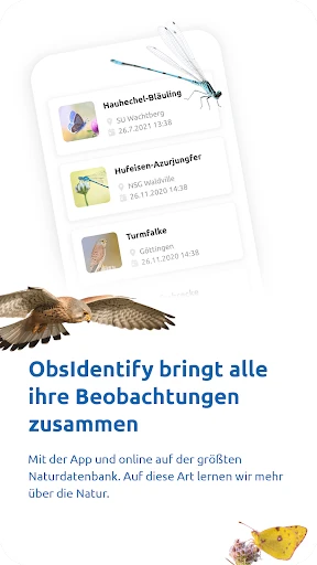 ObsIdentify screenshot