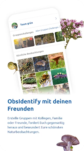 ObsIdentify screenshot