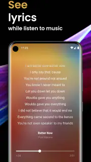 Offline Music Player screenshot 3