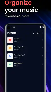 Offline Music Player screenshot 7